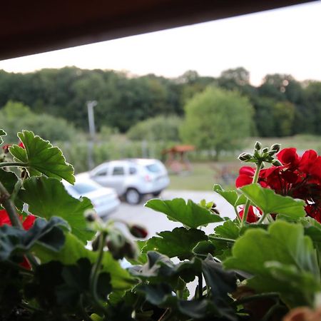 Panorama Cehu Silvaniei エクステリア 写真