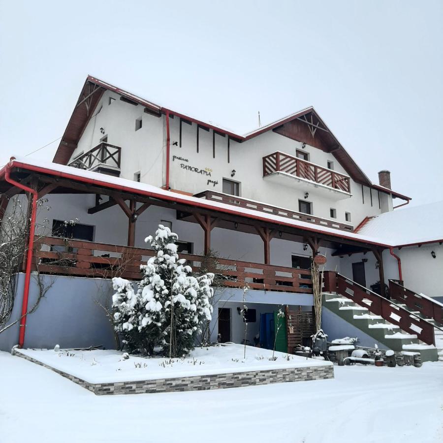 Panorama Cehu Silvaniei エクステリア 写真