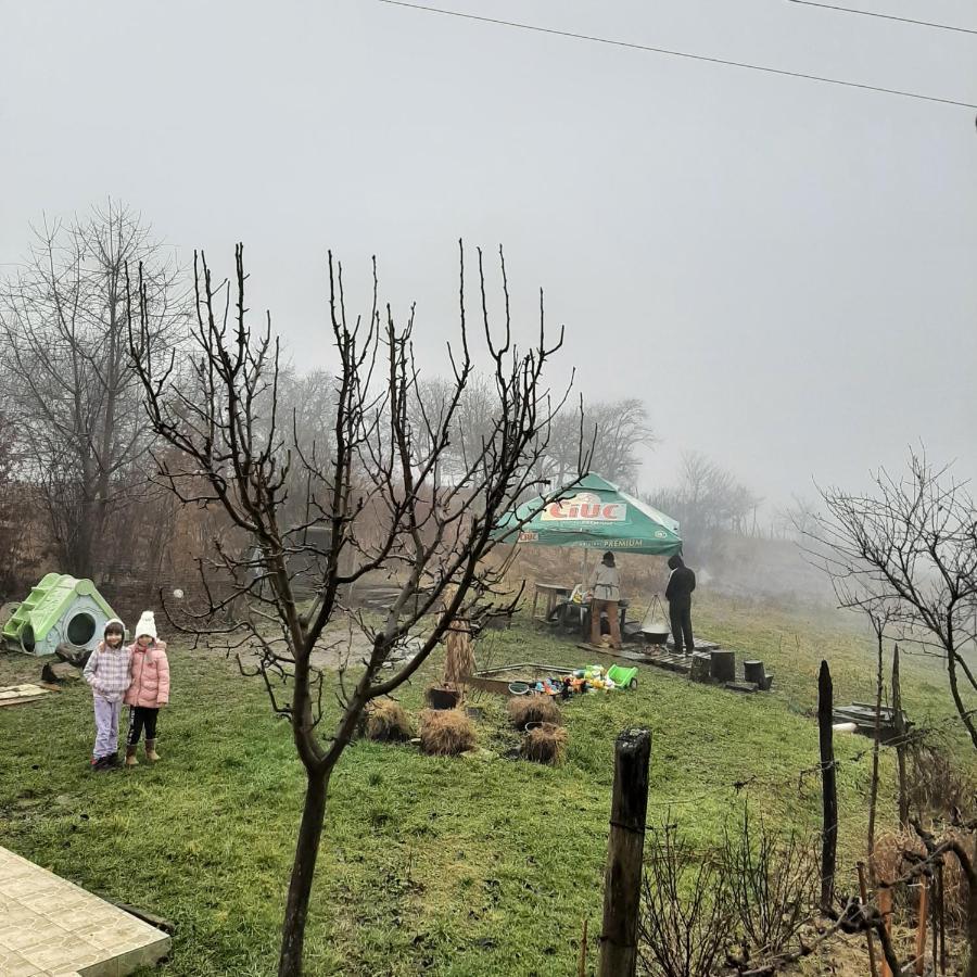 Panorama Cehu Silvaniei エクステリア 写真
