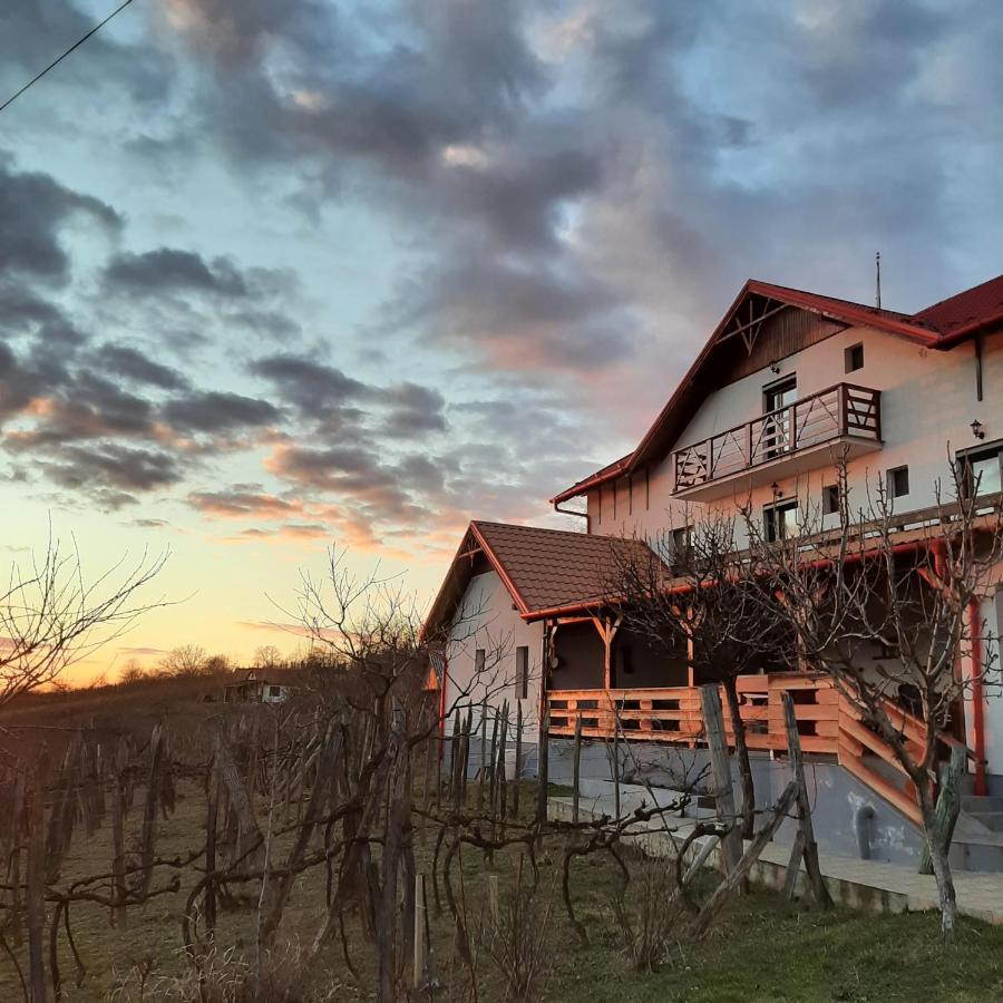 Panorama Cehu Silvaniei エクステリア 写真