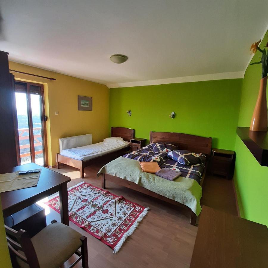 Panorama Cehu Silvaniei 部屋 写真