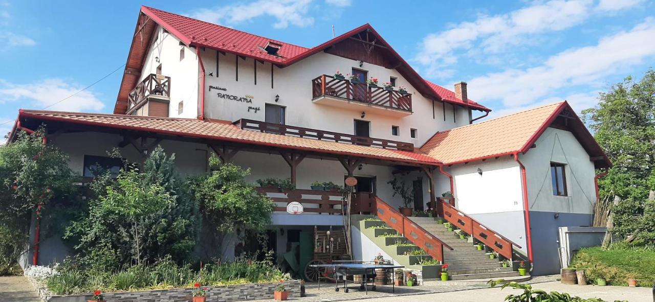 Panorama Cehu Silvaniei エクステリア 写真