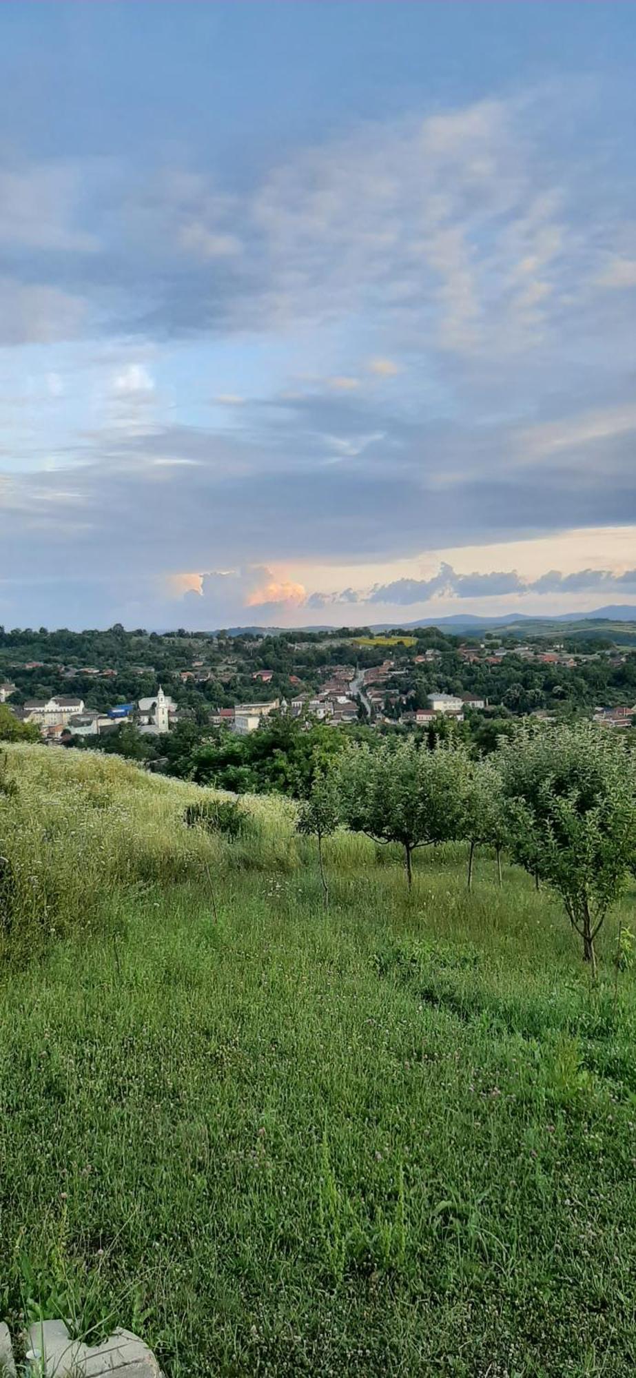 Panorama Cehu Silvaniei 部屋 写真