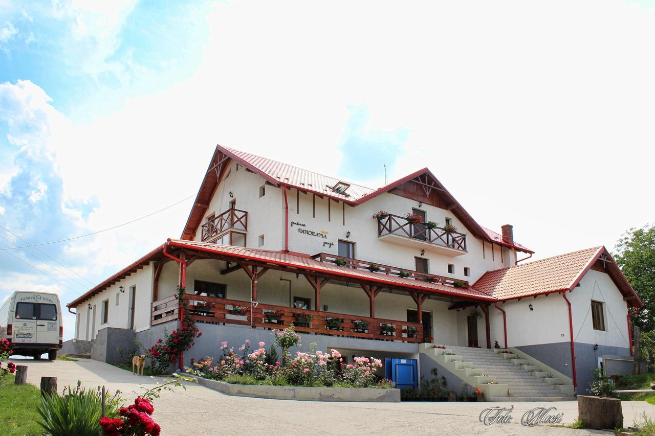 Panorama Cehu Silvaniei エクステリア 写真