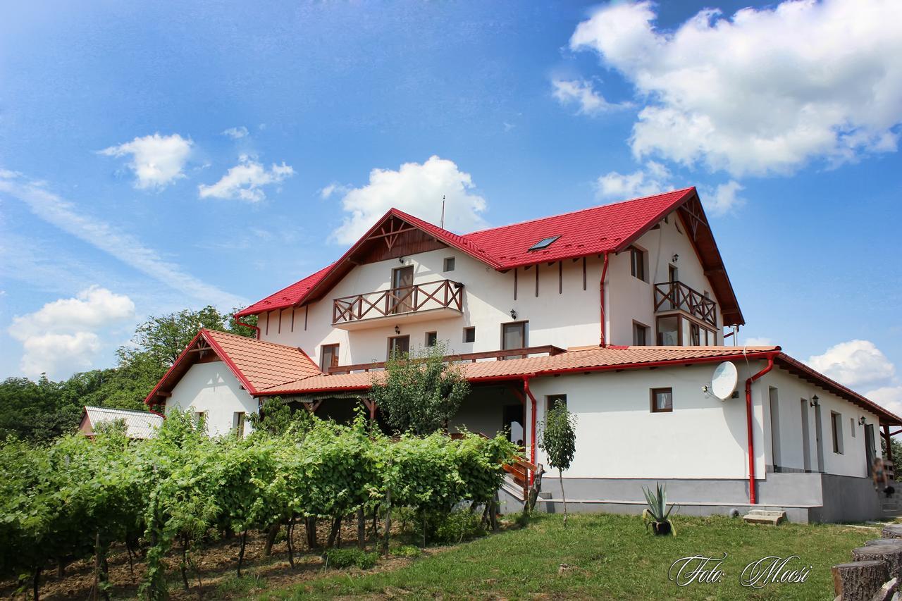 Panorama Cehu Silvaniei エクステリア 写真