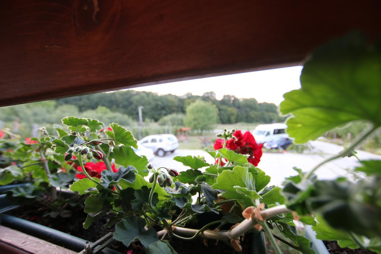 Panorama Cehu Silvaniei エクステリア 写真